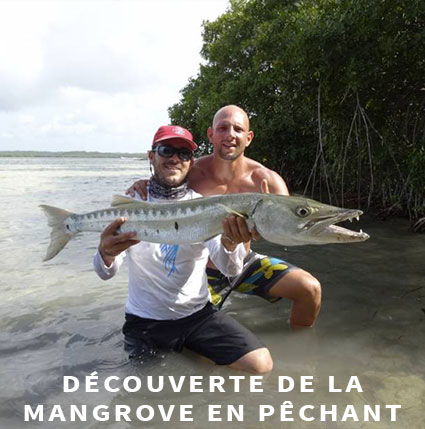 Guide de pêche Guadeloupe en Mangrove